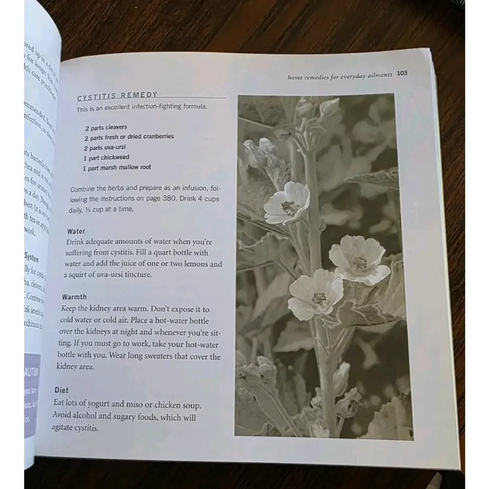 Rosemary Gladstar's Herbal Recipes for Vibrant Health : 175 Teas - GOOD